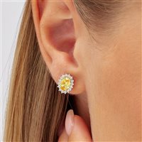 Ohrringe Brosway Dame Fancy in Silber Zirconia FEY11 - FEY11